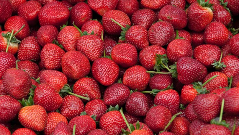 The Strawberry: History and&nbsp;Cultivation
