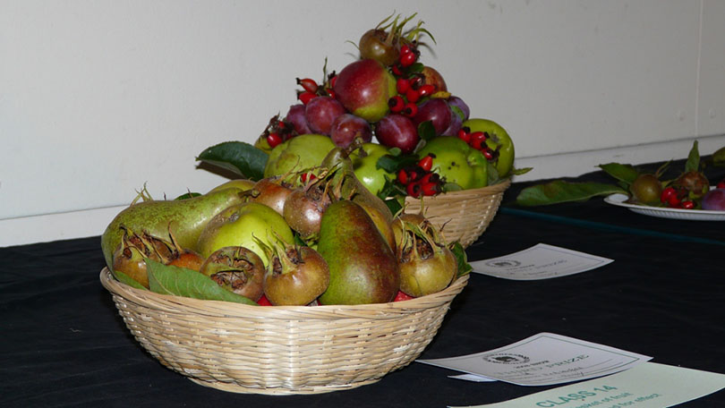 Second place winner at the 2008 NFG Annual Fruit Show