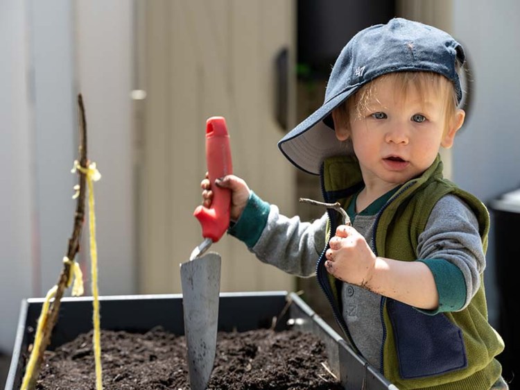 Child learning to grow fruit with beginner's guides
